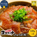 【ふるさと納税】豊後まぐろ ヨコヅーナ ひゅうが丼セット 120g×5 鮪 マグロ 海鮮丼 刺し身 盛り合わせ 冷凍 新鮮 漬け丼 大分県産 九州産 津久見市 国産 送料無料
