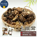 【ふるさと納税】大分産訳あり小粒どんこ50g・徳用椎茸詰合せ 乾しいたけ 干し椎茸 干ししいたけ 乾燥しいたけ 干しシイタケ 原木 大分県産 九州産 津久見市 国産 送料無料