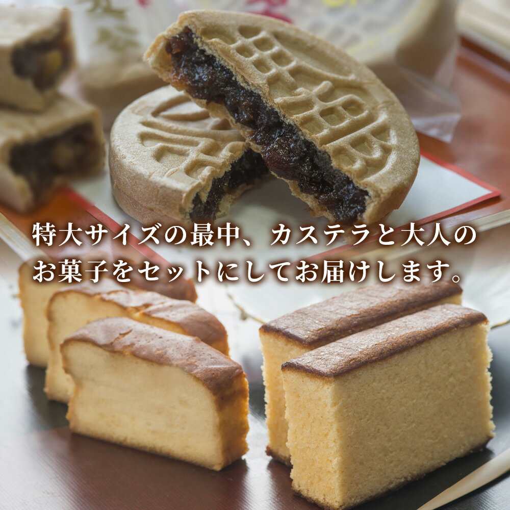 【ふるさと納税】最中8個入りとカステラ・ブランデーケーキセット ケーキ 洋菓子 ブランデー お菓子 スイーツ 詰め合わせ ギフト 贈り物 大分県産 九州産 津久見市 国産 送料無料