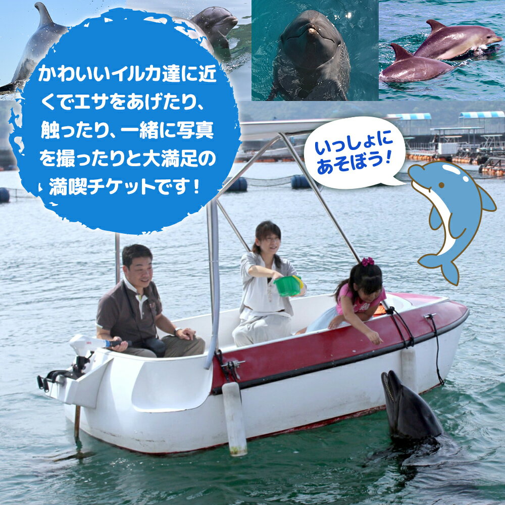 【ふるさと納税】イルカとふれあうFor family（イルカ島満喫チケット）水族館 体験チケット レジャーチケット アクティビティ 動物ふれあい 大分県産 九州産 津久見市 国産 送料無料その2