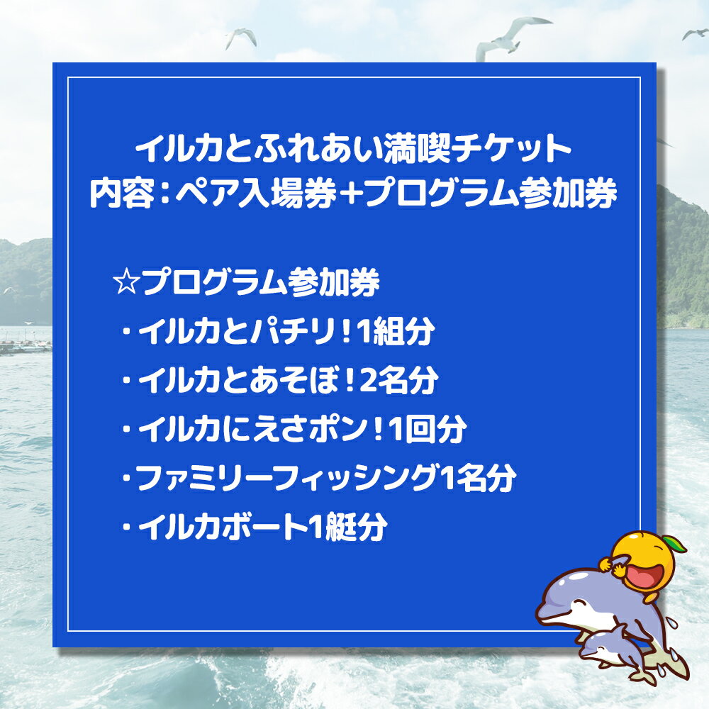 【ふるさと納税】イルカとふれあうFor family（イルカ島満喫チケット）水族館 体験チケット レジャーチケット アクティビティ 動物ふれあい 大分県産 九州産 津久見市 国産 送料無料 3