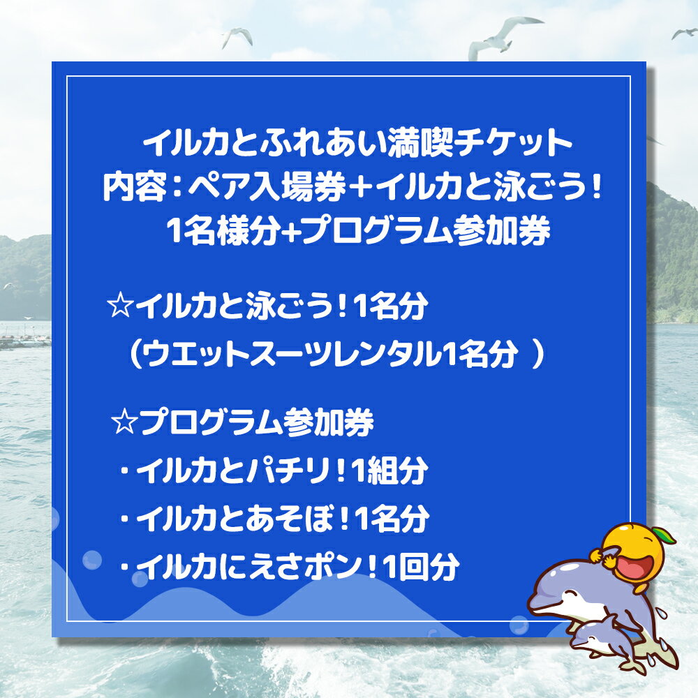 【ふるさと納税】イルカと泳ごう！シングル（イルカとふれあい満喫チケット）体験チケット レジャーチケット アクティビティ 動物ふれあい 大分県産 九州産 津久見市 国産 送料無料 3