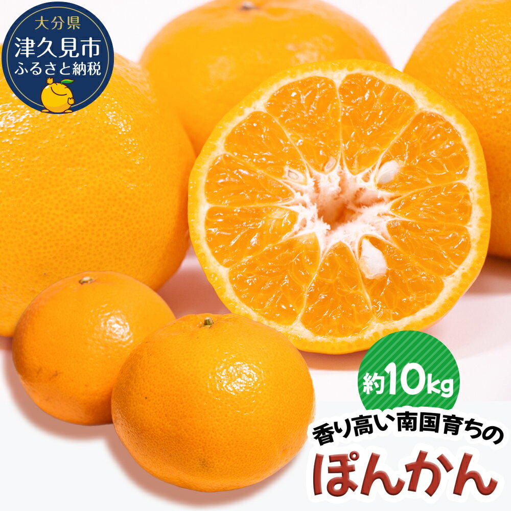 15位! 口コミ数「0件」評価「0」【先行予約】ぽんかん 10kg ミカン ポンカン オレンジ 蜜柑 果実 フルーツ 大分県産 九州産 津久見市 国産 送料無料