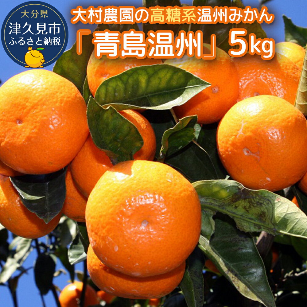 22位! 口コミ数「0件」評価「0」【先行予約】大村農園の温州みかん 青島温州 5kg みかん ミカン 蜜柑 オレンジ 旬のフルーツ 果実 大分県産 九州産 津久見市 国産 送･･･ 