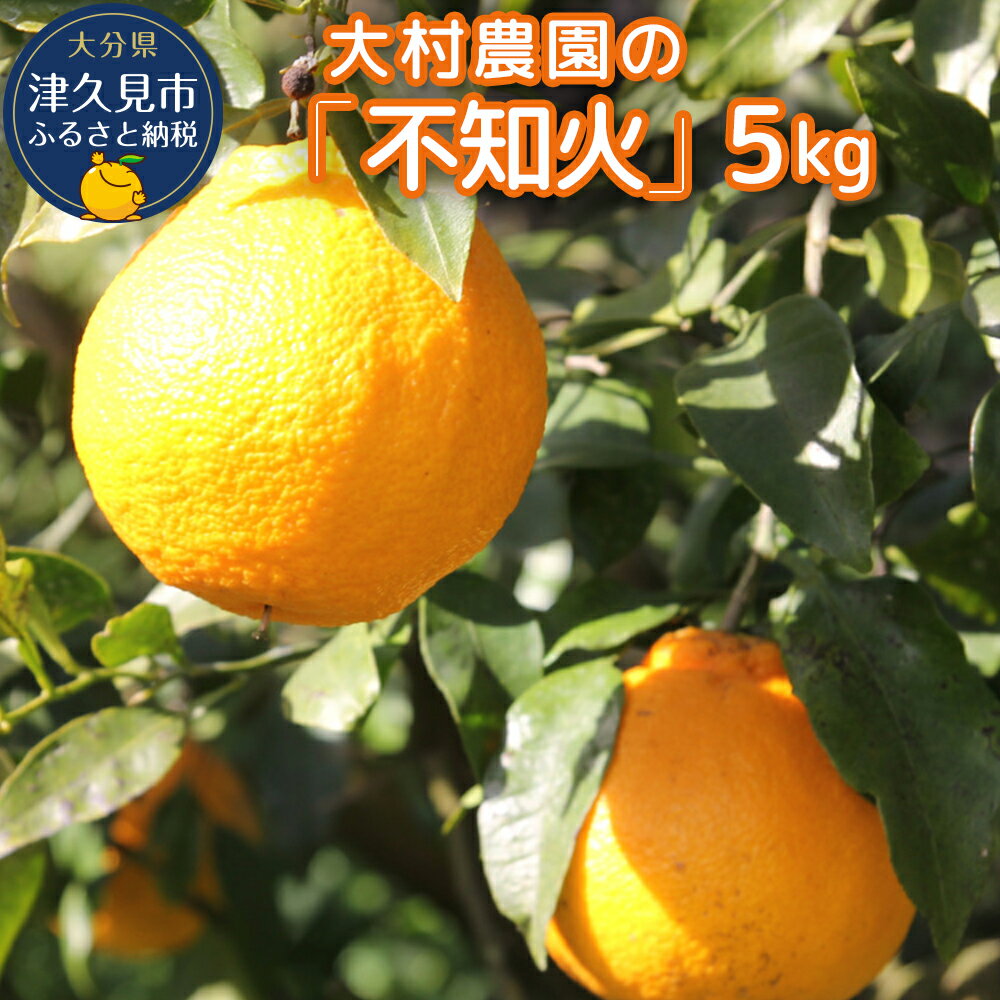 27位! 口コミ数「0件」評価「0」【先行予約】大村農園のみかん 不知火 5kg ミカン 蜜柑 オレンジ 果実 旬のフルーツ 大分県産 九州産 津久見市 国産 送料無料