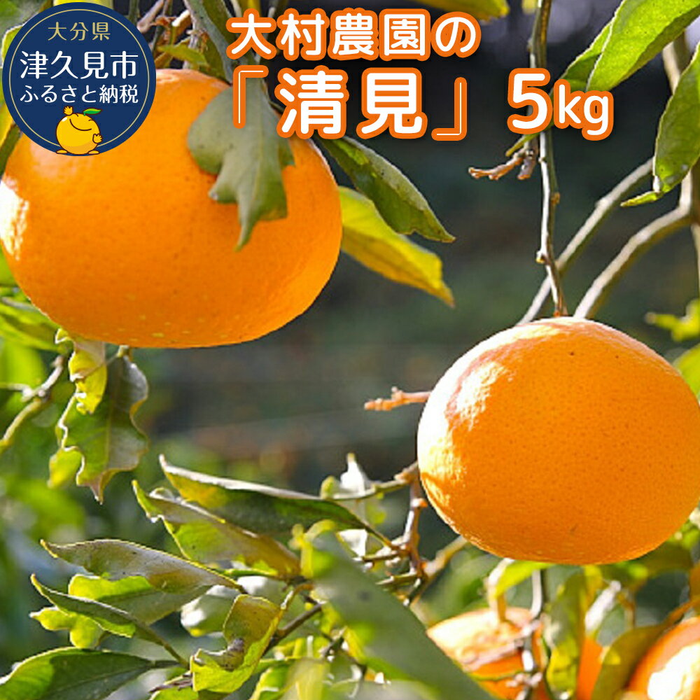 大村農園のみかん 清見 5kg ミカン 蜜柑 オレンジ 果実 旬のフルーツ 大分県産 九州産 津久見市 国産 送料無料