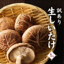 【ふるさと納税】 訳あり 大分県産 しいたけ 津久見で育てた肉厚生しいたけ 1kg | 津久見市 椎茸 菌床しいたけ シイタケ きのこ 冷蔵 大分県 九州 国産 産地直送 家庭用 送料無料 【創造工房】