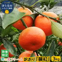 【ふるさと納税】【先行予約】野の花ファーム 訳あり 麗紅 3kg みかん ミカン オレンジ フルーツ 柑橘類 大分県産 九州産 津久見市 国産 送料無料