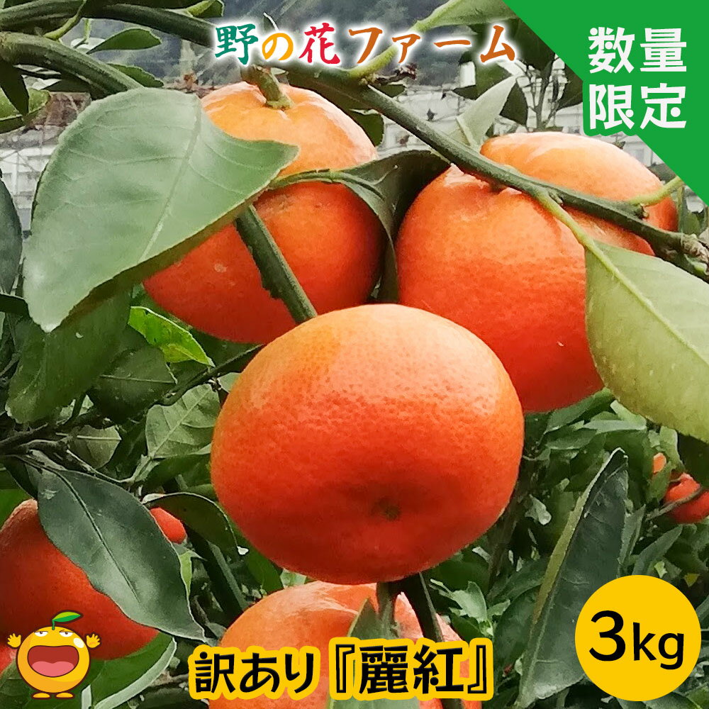 16位! 口コミ数「0件」評価「0」【先行予約】野の花ファーム 訳あり 麗紅 3kg みかん ミカン オレンジ フルーツ 柑橘類 大分県産 九州産 津久見市 国産 送料無料