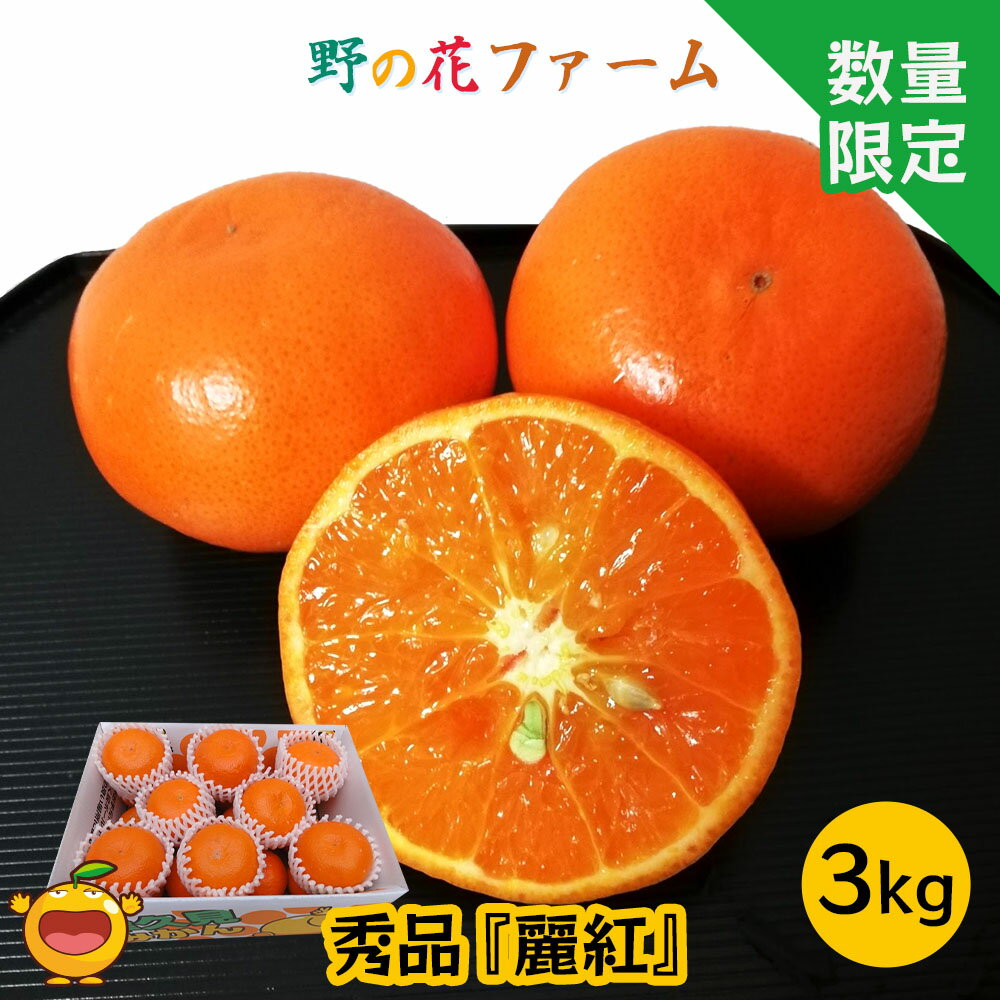 26位! 口コミ数「0件」評価「0」【先行予約】野の花ファーム 秀品 麗紅 3kg みかん ミカン オレンジ 柑橘類 大分県産 九州産 津久見市 国産 送料無料