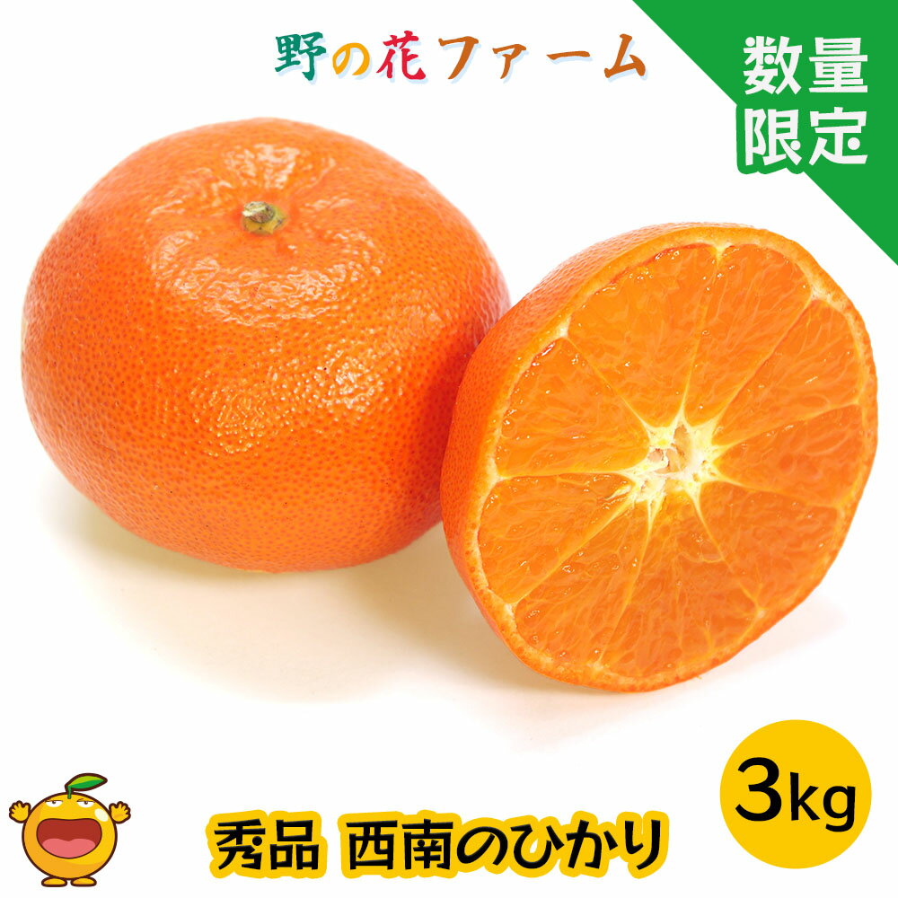 25位! 口コミ数「0件」評価「0」【先行予約】野の花ファーム 秀品 西南のひかり 3kg みかん ミカン オレンジ 柑橘類 大分県産 九州産 津久見市 国産 送料無料