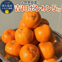 【ふるさと納税】上野果樹園の吉田ポンカン 5kg ぽんかん オレンジ みかん 蜜柑 果物 くだもの フルーツ 柑橘類 甘い ジューシー お取り寄せ 大分県産 九...