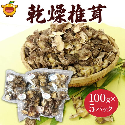 乾燥椎茸 訳あり 椎茸100g×5パック 乾しいたけ 干し椎茸 干ししいたけ 乾燥しいたけ 干しシイタケ 原木 大分県産 九州産 津久見市 国産 送料無料