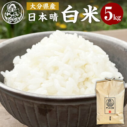 ＜令和5年産＞ 大分県産 日本晴 竹田水穂 白米 5kg お米 米 ご飯 精米 国産 竹田市産 九州産 送料無料