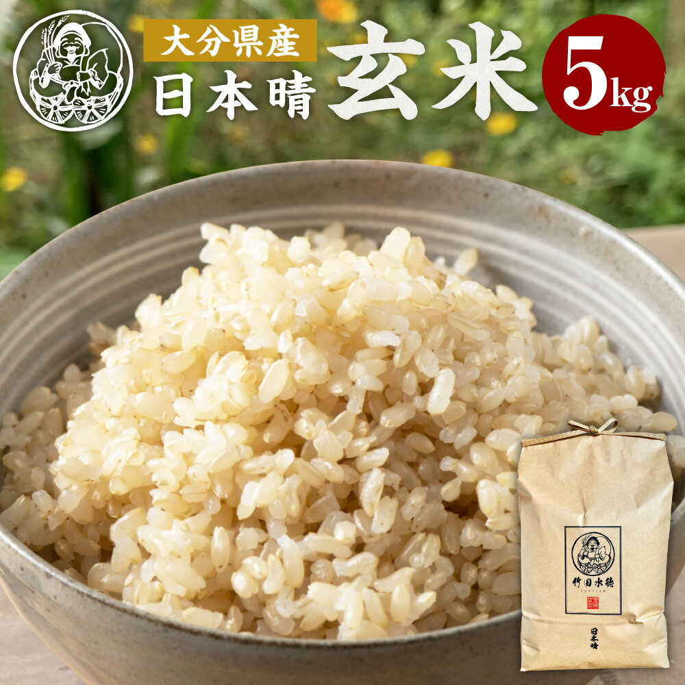 【ふるさと納税】＜令和5年産＞ 大分県産 日本晴 竹田水穂 玄米 5kg お米 米 ご飯 国産 竹田市産 九州産 送料無料