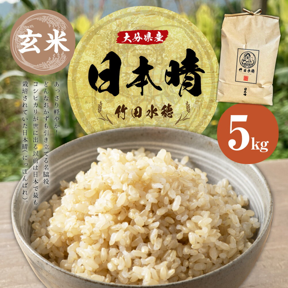 【ふるさと納税】＜令和5年産＞ 大分県産 日本晴 竹田水穂 玄米 5kg お米 米 ご飯 国産 竹田市産 九州産 送料無料