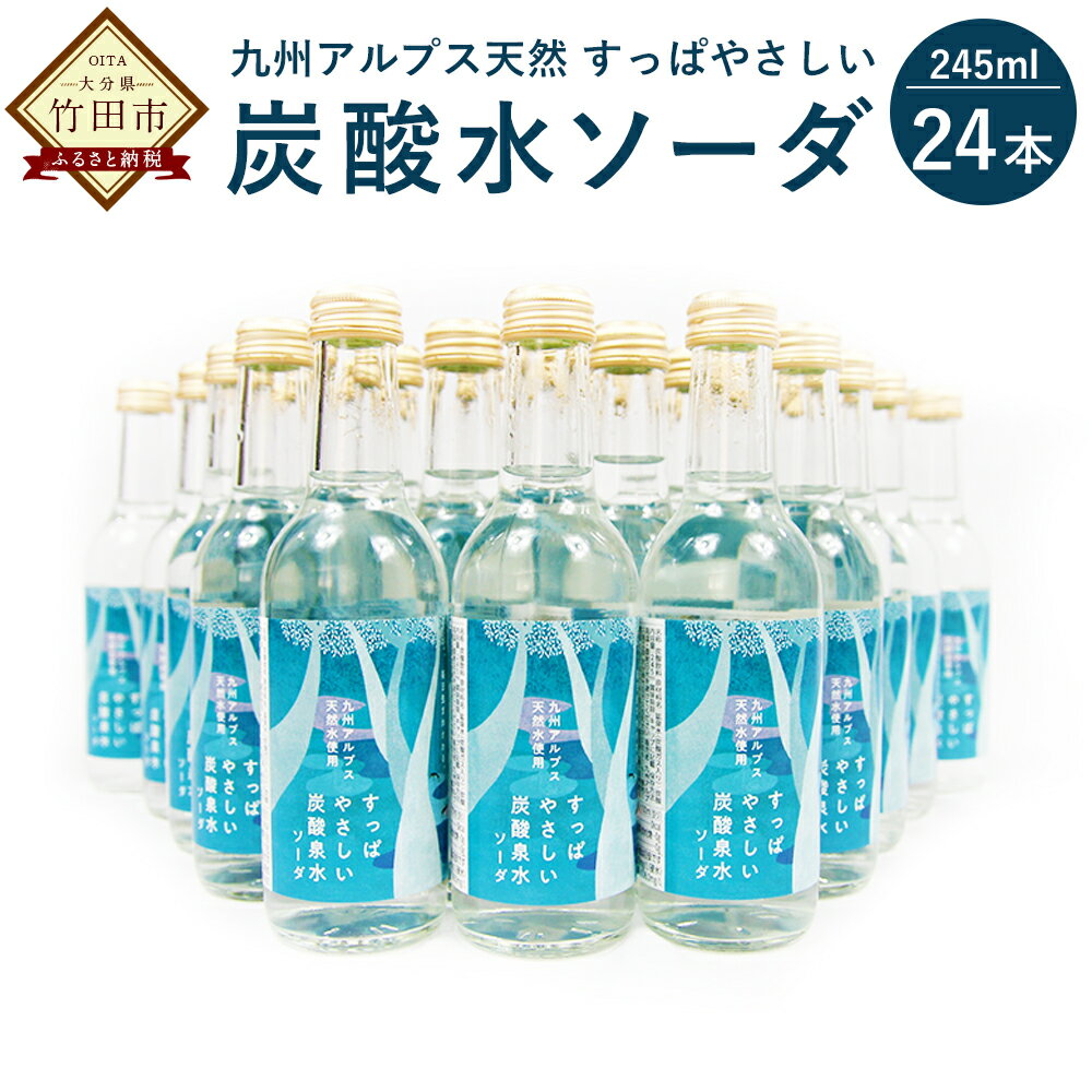 楽天大分県竹田市【ふるさと納税】九州アルプス天然 すっぱやさしい 炭酸水ソーダ 24本 245ml×24本 炭酸水 炭酸泉水 飲料水 炭酸 ドリンク ソフトドリンク 水 送料無料