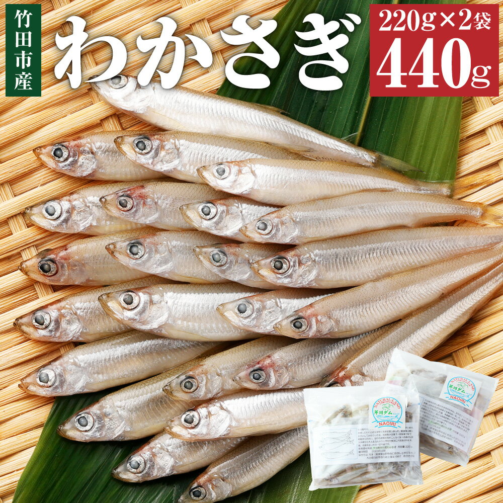 竹田市産 冷凍 わかさぎ 220g×2袋 計440g ワカサギ 公魚 淡水魚 天ぷら 唐揚げ 南蛮漬け 甘露煮 大分県 竹田市 送料無料