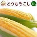 3位! 口コミ数「0件」評価「0」【2024年7月上旬発送開始】とうもろこし 10本 大分県 竹田市産 スイートコーン 季節限定 数量限定 旬 野菜 冷蔵 送料無料