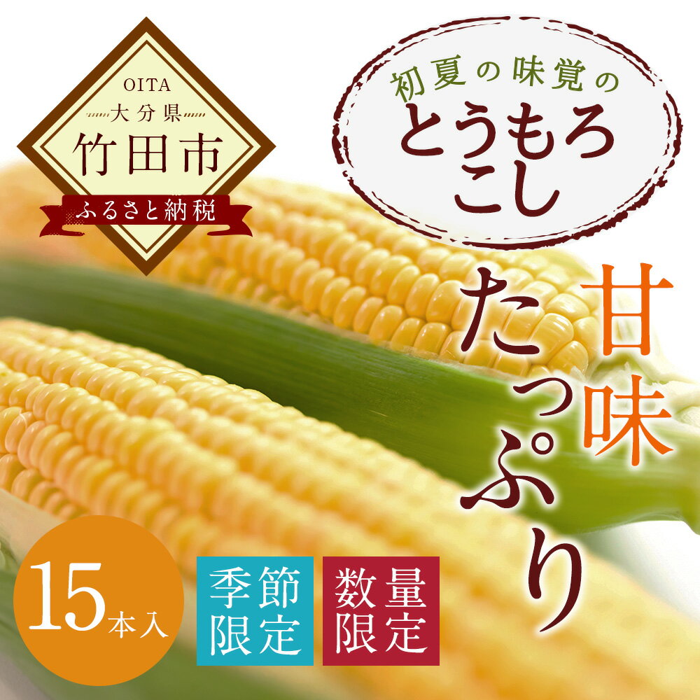 【ふるさと納税】【2024年7月上旬発送開始】とうもろこし 15本 大分県 竹田市産 スイートコーン 季節限定 数量限定 旬 野菜 冷蔵 送料無料