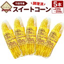 【ふるさと納税】旬の美味しさを手軽に 調理済 とうもろこし 5本(約220g-250g) スイートコーン 加熱調理済 野菜 トウモロコシ コーン 真空パック 大...
