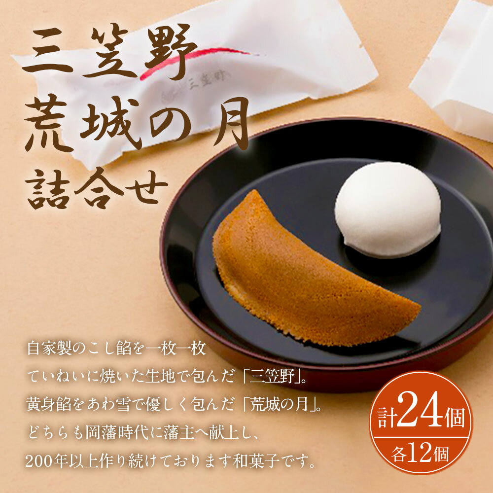 【ふるさと納税】竹田 但馬屋老舗 三笠野 12個 荒城の月 12個 24個入 個包装 詰合せ 和菓子 老舗和菓子 銘菓 お菓子 お土産 こし餡 黄身餡 九州 大分県 竹田市 送料無料