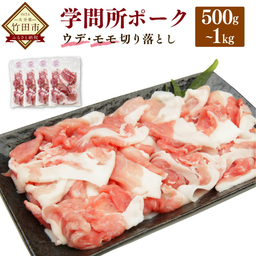 大分県産 上豚肉「学問所ポーク」 ウデ・モモ 切り落とし 真空パック 容量が選べる 500g 1kg 1パック 250g 小分け 豚肉 ぶた肉 ウデ肉 モモ肉 お肉 細切れ 小間切れ 部位ミックス 冷凍 大分県 竹田市 国産 送料無料