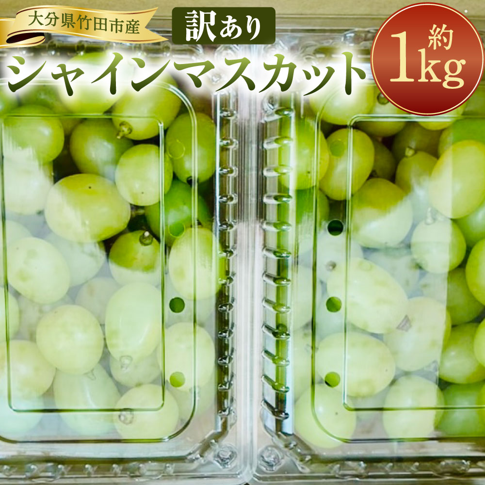 【ふるさと納税】【数量限定】粒パック 訳あり シャインマスカット 約1kg （2パック） ぶどう ブドウ 葡萄 マスカット フルーツ 果実 果物 フルーツ 国産 訳あり 大分県 竹田市 送料無料【2026年8月下旬～11月上旬発送開始予定】