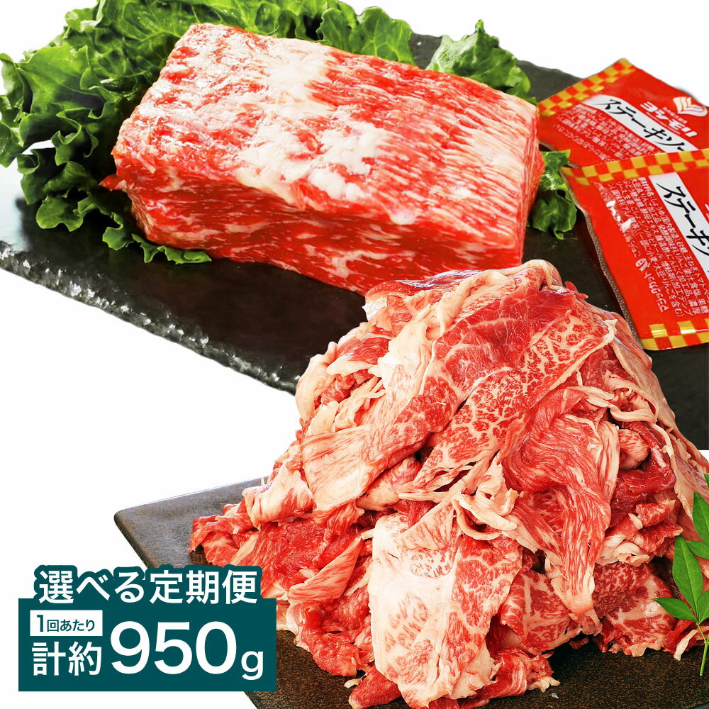 [選べる定期便][ブロック&切り落とし]おおいた和牛 1ポンドブロック(約450g)・切り落とし(約500g)セット ステーキソース付 1回あたり計約950g 1ヶ月毎 2回 3回 6回 和牛 牛肉 お肉 モモ ウデ バラ 赤身 冷凍 大分県産 国産 大分県 竹田市 送料無料