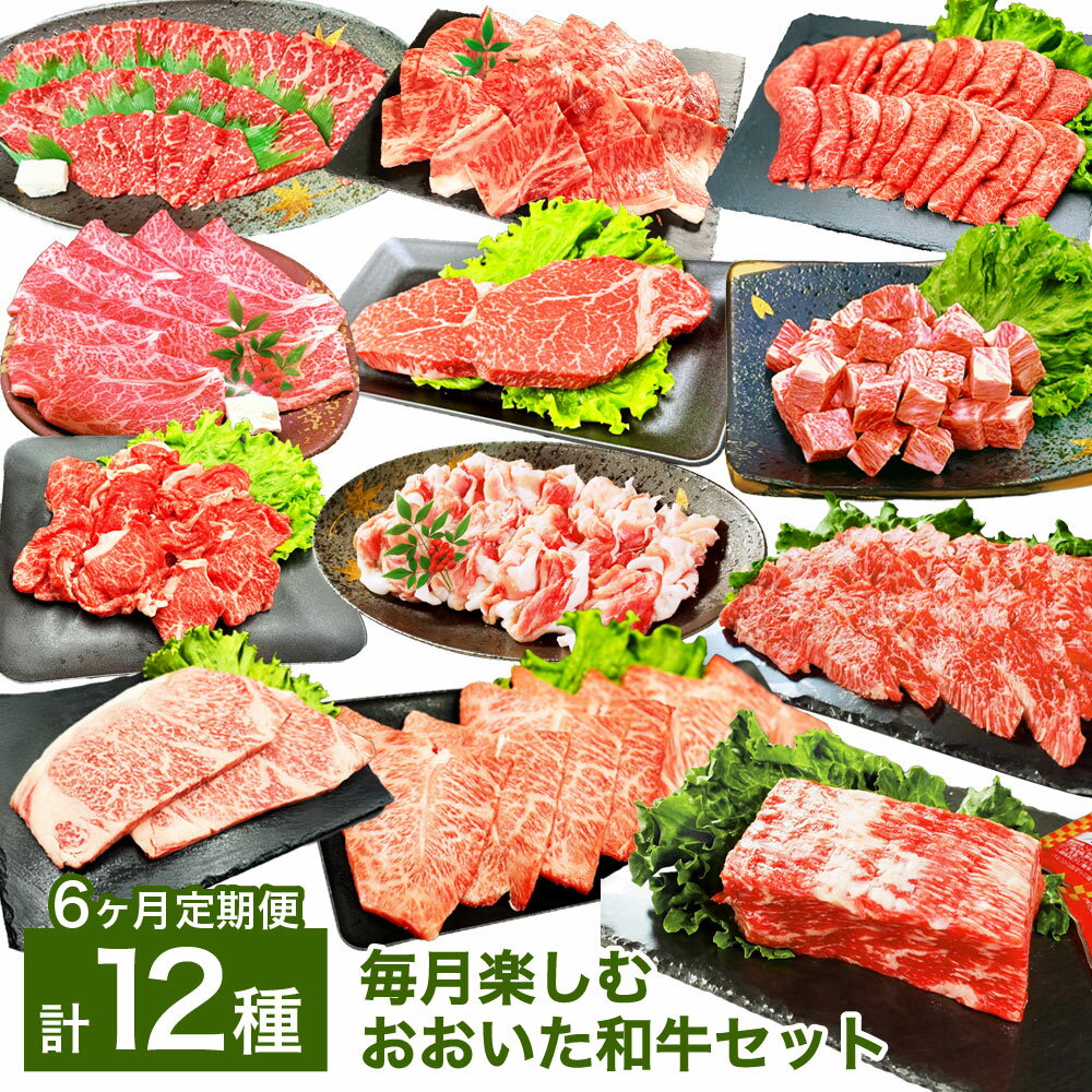 [6ヶ月定期便][毎月違う部位が届く!人気食べ比べセット!]6ヶ月毎月楽しむおおいた和牛セット 1ヶ月毎 6回 焼肉 スライス ステーキ 切り落とし 和牛 牛肉 豚肉 お肉 赤身 肩ロース ヒレ サーロイン 詰め合わせ 冷凍 国産 大分県産 竹田市 送料無料