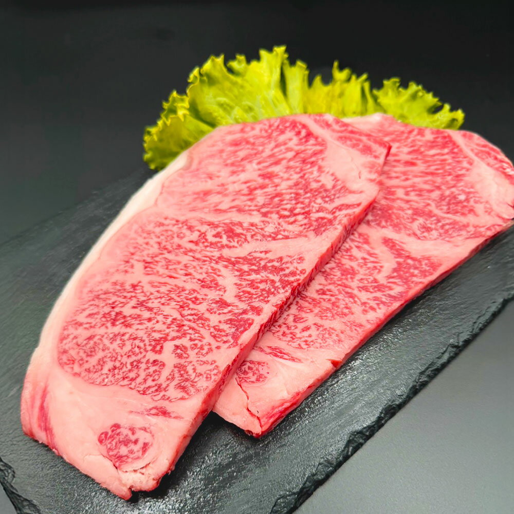 [選べる容量]おおいた和牛 サーロインステーキ ステーキソース付き 1枚あたり約200g 2枚〜6枚 計400g 計800g 計1.2kg 和牛 牛肉 お肉 4等級以上 真空パック ギフト 贈答 贈り物 冷凍 大分県産 国産 九州 大分県 竹田市 送料無料