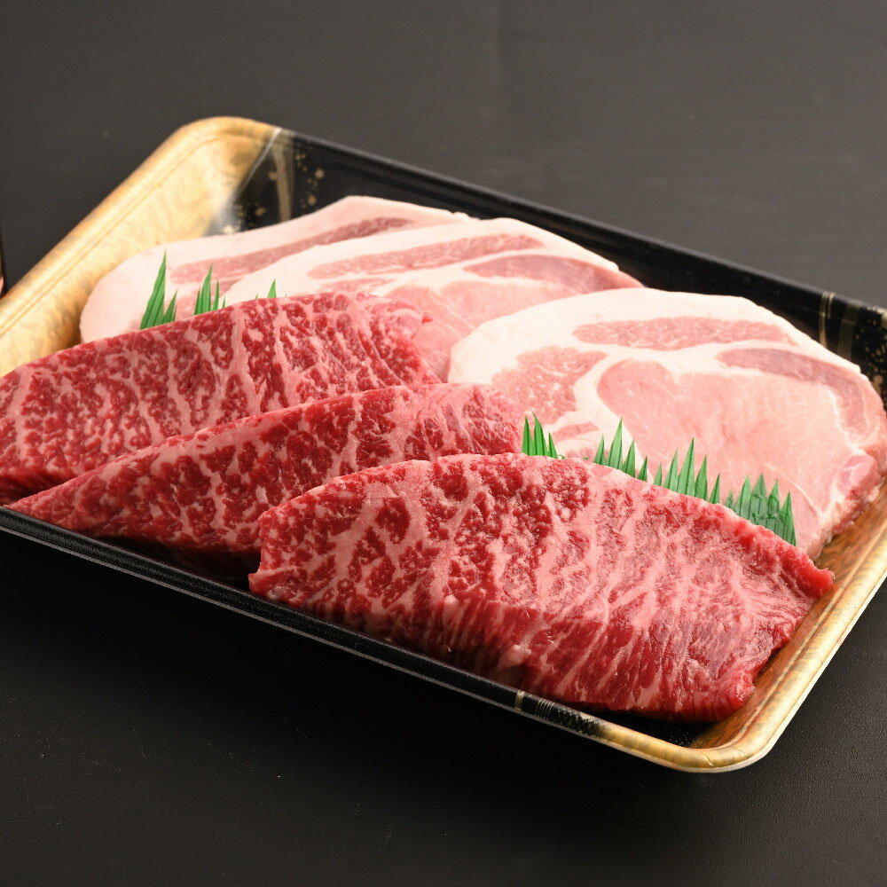 【ふるさと納税】おおいた和牛 ステーキ 奥豊後豚 ステーキセット 約150g×各3枚 計900g ステーキソース付き 牛肉 和牛 国産 肉 豚肉 もも 牛モモ肉 牛モモ 豚ロース ポークステーキ トンテキ 赤身 3枚 九州 冷凍 大分 大分県産 竹田市 送料無料