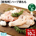 【ふるさと納税】【定期便】【1ヶ月毎 5回】【業務用】ハーブ鶏もも 計10kg 2kg 5回 鶏肉 とりにく 鶏もも肉 もも肉 お肉 肉 生肉 惣菜 おかず 唐揚げ サラダ ステーキ 大容量 お取り寄せ グル…