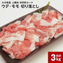 【ふるさと納税】大分県産上豚肉 「学問所ポーク」 ウデ・モモ 切り落とし 真空パック 小分け 計3kg 豚肉 お肉 豚ウデ肉 豚モモ肉 冷凍 九州産 国産 大分...