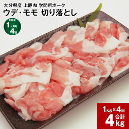 【ふるさと納税】【定期便】【1ヶ月毎4回】大分県産 上豚肉 「学問所ポーク」 ウデ・モモ 切り落とし 真空パック 小分け 計4kg(1kg×4回) 豚肉 お肉 豚ウデ肉 豚モモ肉 冷凍 九州産 国産 大分県 竹田市 送料無料