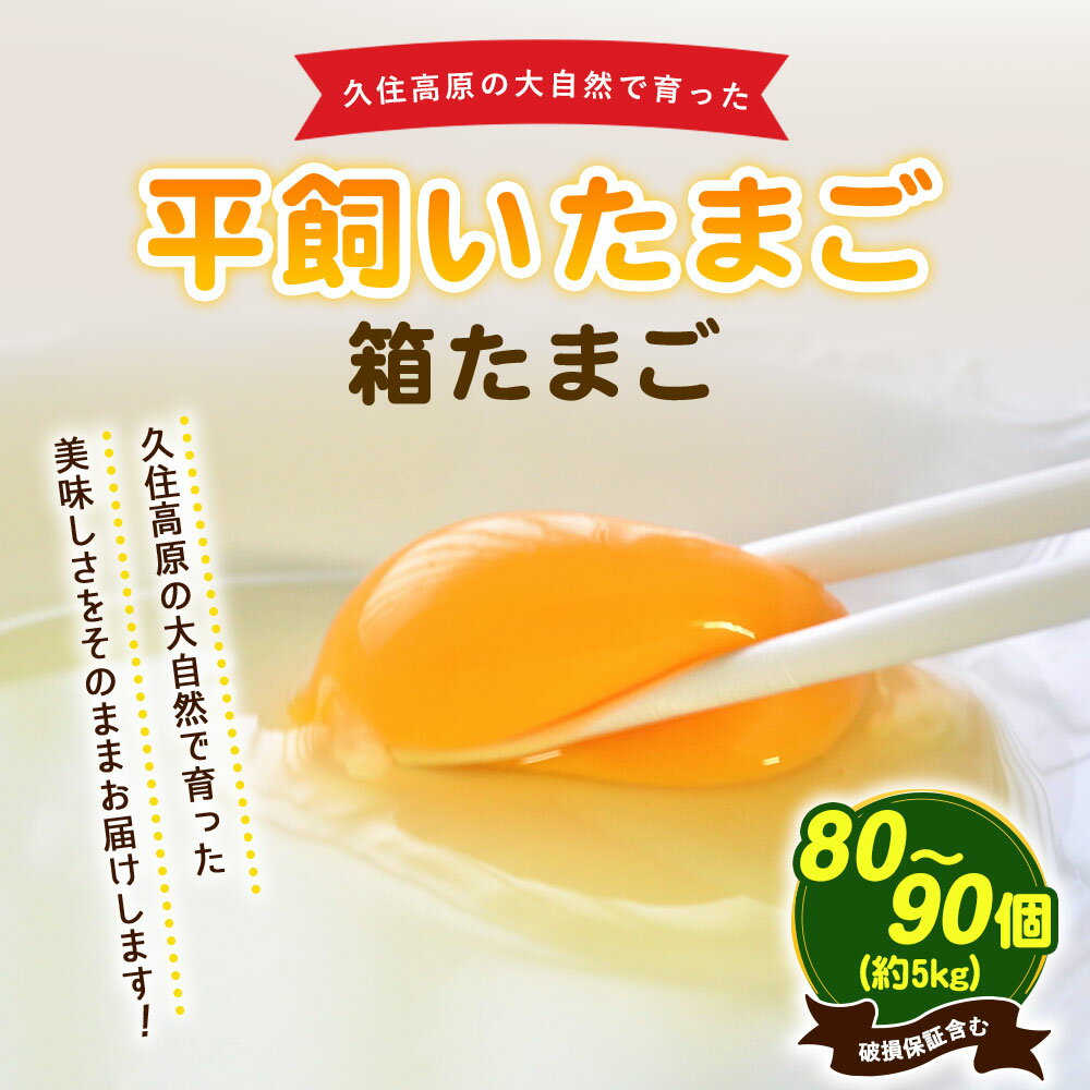 【ふるさと納税】久住高原 平飼いたまご 箱たまご 5kg 80～90個 箱 卵 たまご タマゴ 玉子 生卵 鶏卵 大分県産 九州産 冷蔵 送料無料
