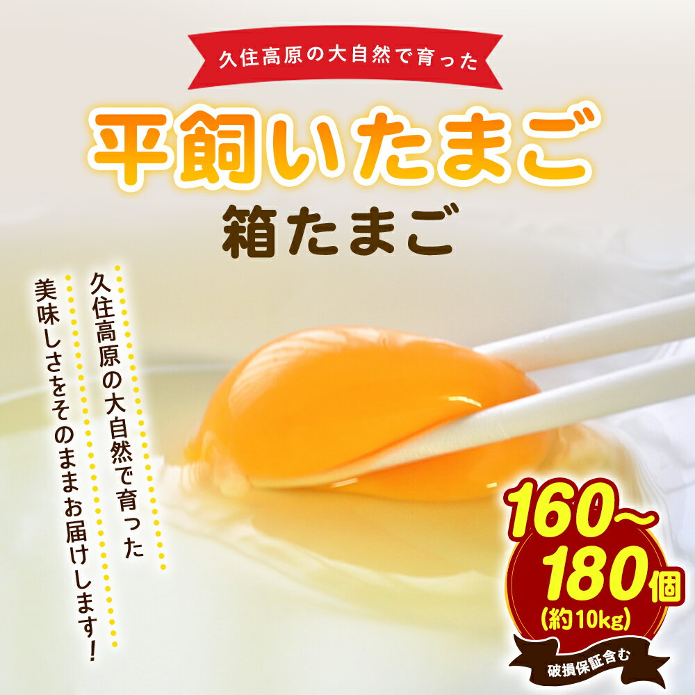 【ふるさと納税】久住高原 平飼いたまご 箱たまご 10kg 160～180個 箱 卵 たまご タマゴ 玉子 生卵 鶏卵 大分県産 九州産 冷蔵 送料無料