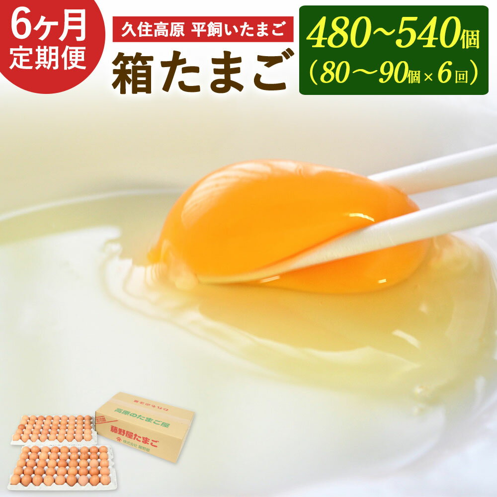 【ふるさと納税】 定期便 6回 久住高原 平飼いたまご 箱たまご 5kg×6ヶ月 合計30kg 480～540個 箱 卵 たまご タマゴ 玉子 生卵 鶏卵 大分県産 九州産 冷蔵 送料無料