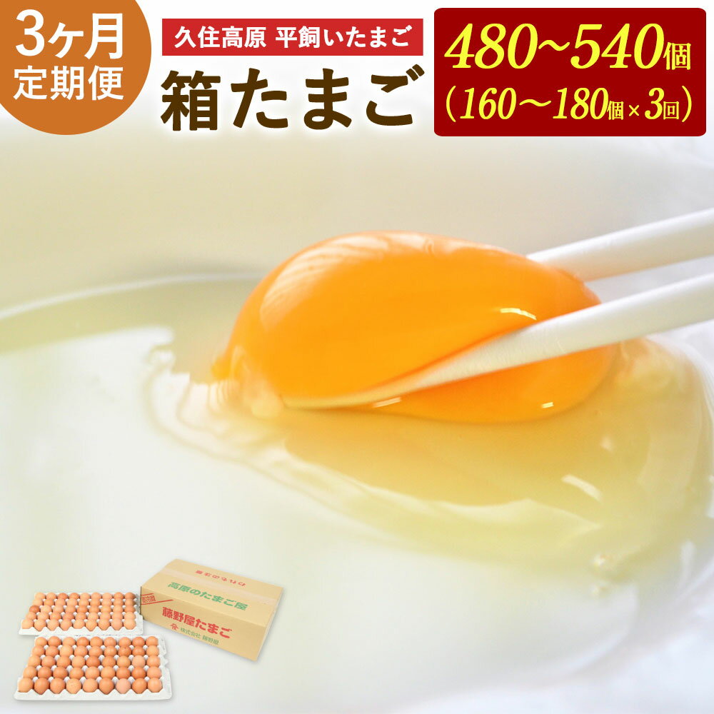 【ふるさと納税】 定期便 3回 久住高原 平飼いたまご 箱たまご 10kg×3ヶ月 合計30kg 480～540個 箱 卵 たまご タマゴ 玉子 生卵 鶏卵 大分県産 九州産 冷蔵 送料無料