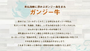 【ふるさと納税】貴族の牛乳！ ガンジー牛乳 900ml 2本 合計1.8L 牛乳 ゴールデンミルク ミルク 竹田市産 九州産 国産 冷蔵 送料無料