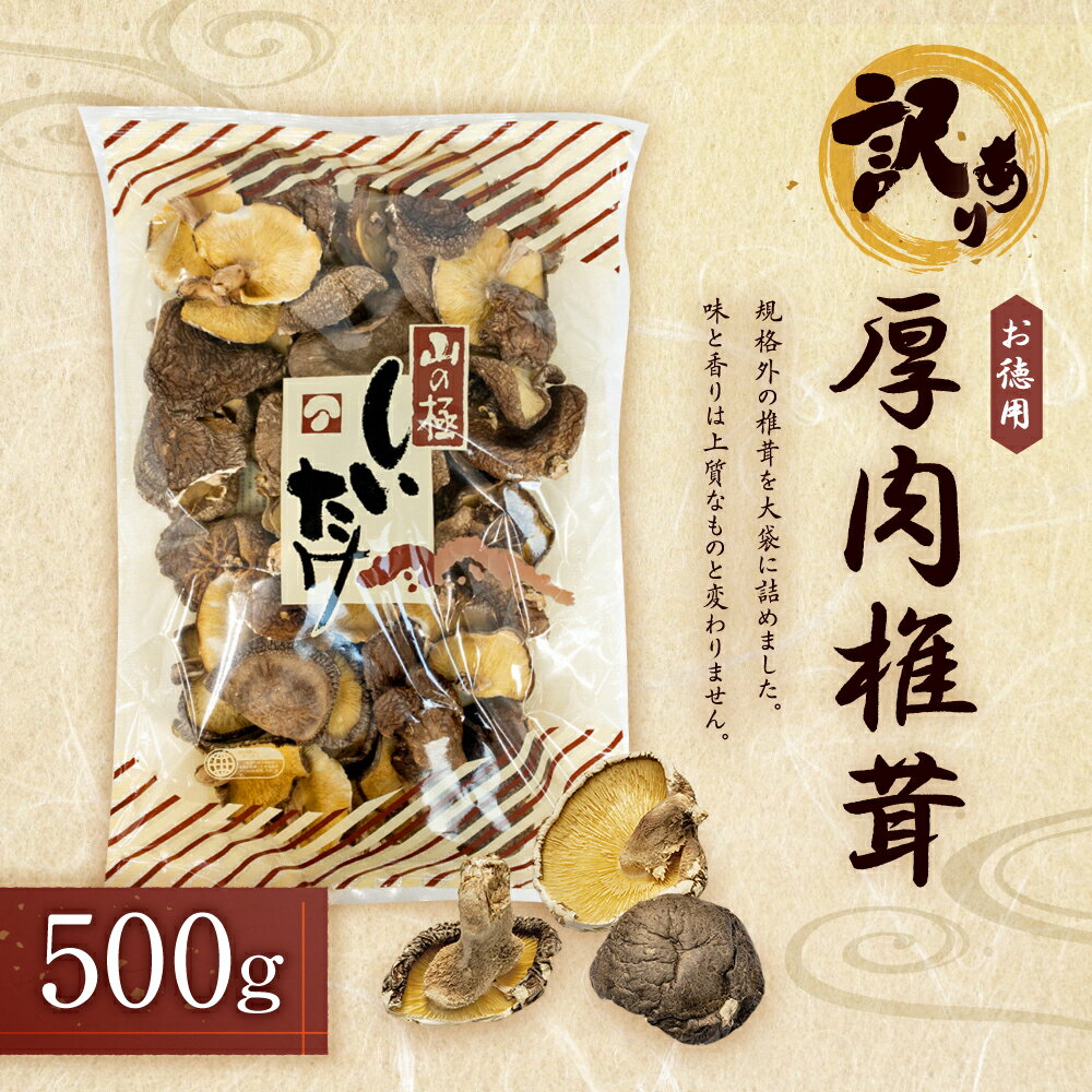 【ふるさと納税】【訳あり】お徳用 厚肉 椎茸 500g 椎茸 しいたけ 乾しいたけ 肉厚 大袋 規格外 大分県産 九州産 国産 送料無料