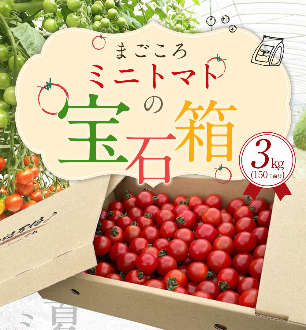 【ふるさと納税】【2024年7月上旬発送開始】まごころミニトマトの宝石箱 3kg 150玉前後 ミニトマト とまと 野菜 大分県竹田市荻町産 九州産 国産 新鮮 送料無料