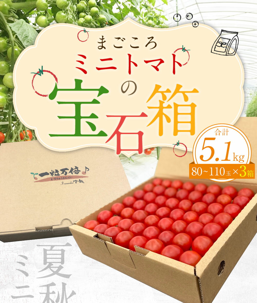 【ふるさと納税】【2024年7月上旬発送開始】まごころミニトマトの宝石箱 1.7kg×3箱 計5.1kg 約240～330玉 ミニトマト とまと 野菜 大分県 竹田市 荻町産 九州産 国産 新鮮 送料無料