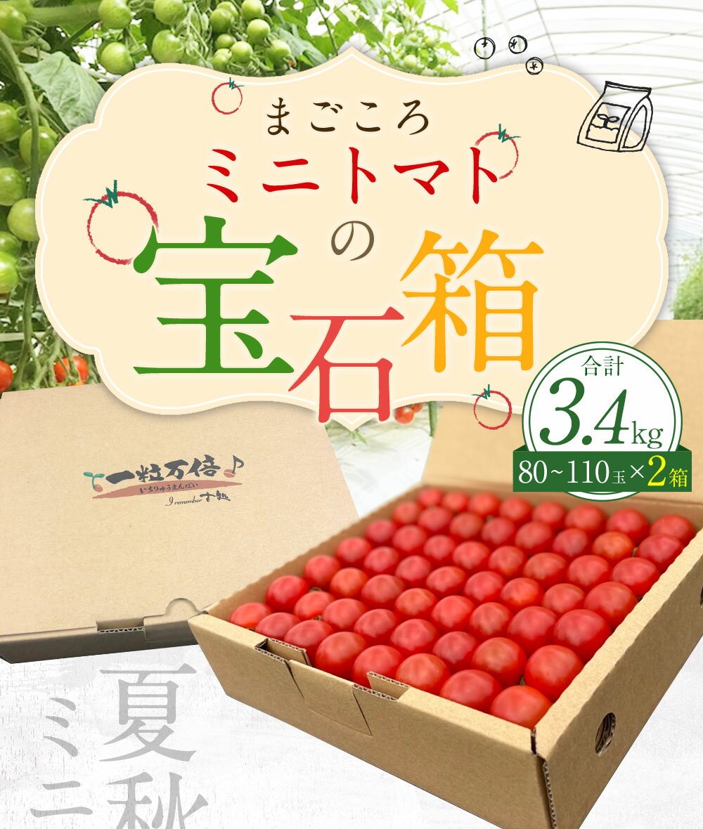 【ふるさと納税】【2024年7月上旬発送開始】まごころミニトマトの宝石箱 1.7kg×2箱 計3.4kg 約160～220玉 ミニトマト とまと 野菜 大分県 竹田市 荻町産 九州産 国産 新鮮 送料無料