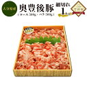 【ふるさと納税】奥豊後豚 細切れ1kg （ロース500g・バラ500g） 大分県産 1日10セット限定 豚肉 九州産 冷凍 送料無料