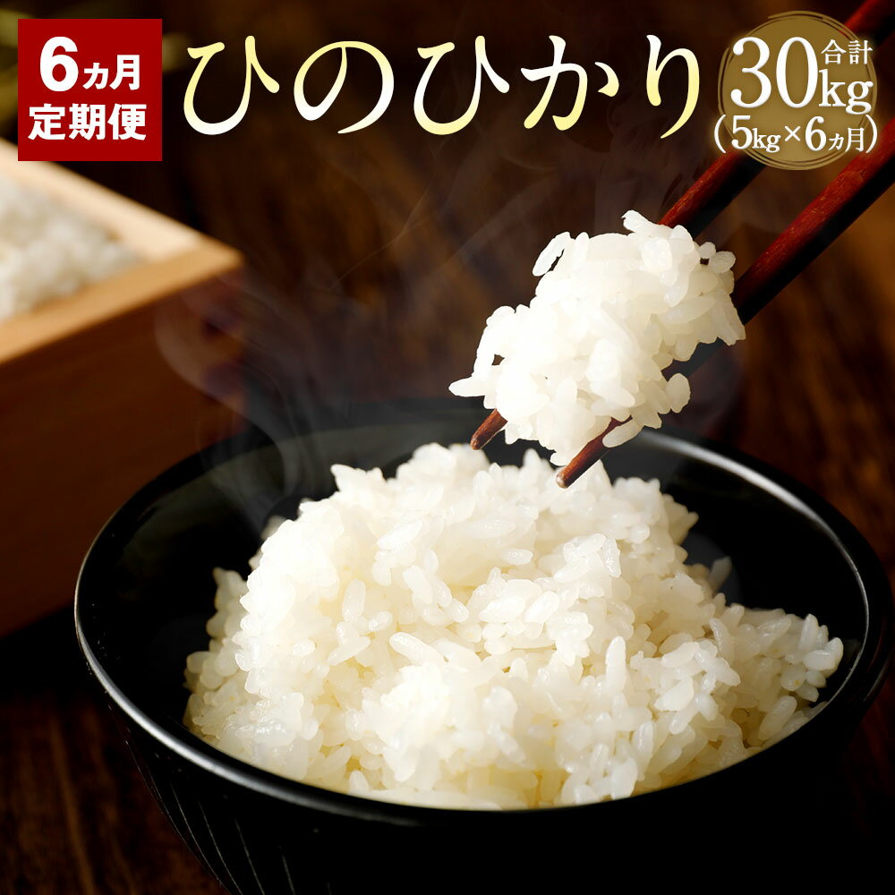 【6か月定期便】 竹田市産 名水育ち ひのひかり 5kg×6か月 合計30kg 3年(2018年・2019年・2020年)連続 特A受賞 お米 白米 精米 定期便 大分県産 九州産 ヒノヒカリ 送料無料