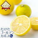 【ふるさと納税】 たけたゴールデンカボス 4kg(50玉〜6...