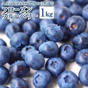 【ふるさと納税】＜2024年8月上旬発送開始＞久住高原童心回帰農場の自然栽培フローズンブルーベリー 九州産 国産 冷凍 1kg フルーツ ブルーベリー 果物 家庭用 送料無料