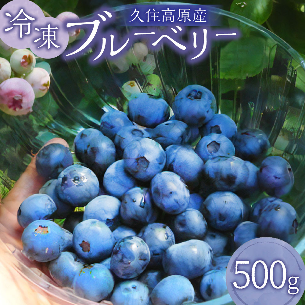 【ふるさと納税】 【お試しサイズ】久住高原 冷凍 ブルーベリー 500g 栽培期間中 農薬不使用 手摘み 新鮮 ジャム スムージー ヨーグルト フルーツ 果物 お試し 特産品 特産 名産 国産 九州 大分県 竹田市 久住高原産 送料無料