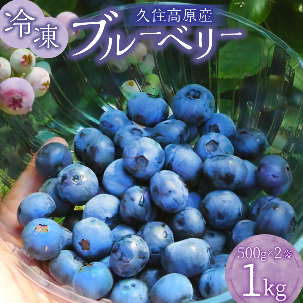 【ふるさと納税】 久住高原 冷凍 ブルーベリー 500g 2袋 計1kg 小分け 栽培期間中 農薬不使用 手摘み 新鮮 ジャム スムージー ヨーグルト フルーツ 果物 特産品 特産 名産 国産 九州 大分県 竹…